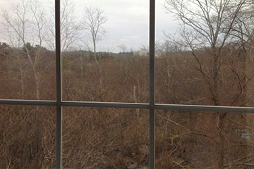 view from the new room